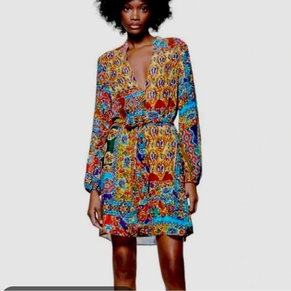 Zara Multicolor Patterned Women's Dress